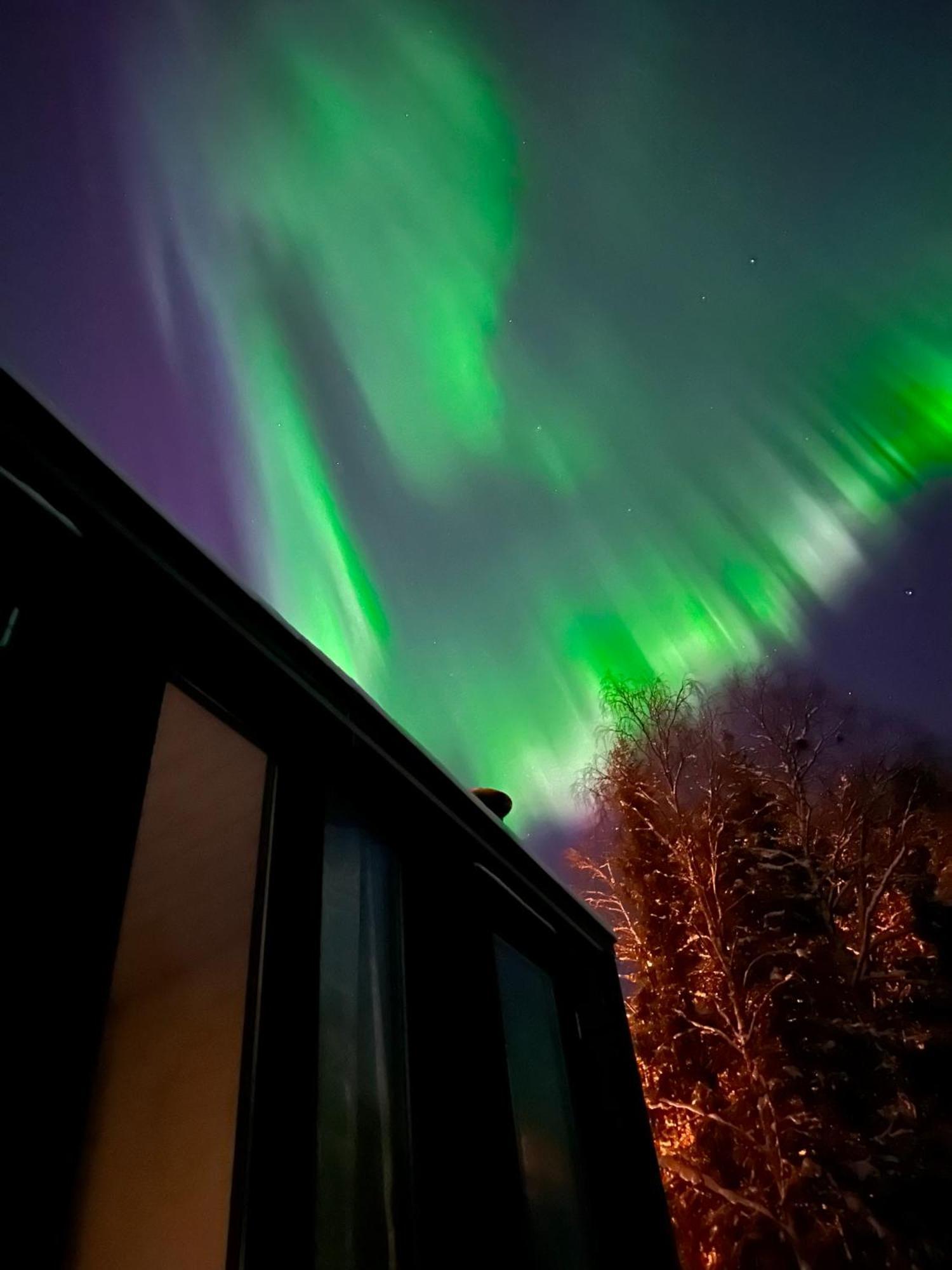 Aurora Forest Lodge Rovaniemi Exteriér fotografie